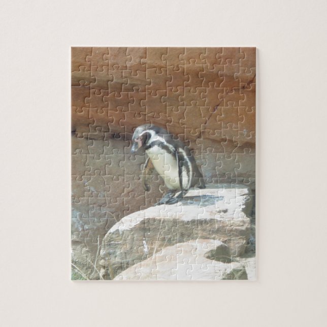 Penguin, Wildlife, Animal, Wild Bird, Zoo, Summer Jigsaw Puzzle (Vertical)