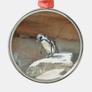Penguin, Wildlife, Animal, Wild Bird, Zoo, Summer Metal Tree Decoration