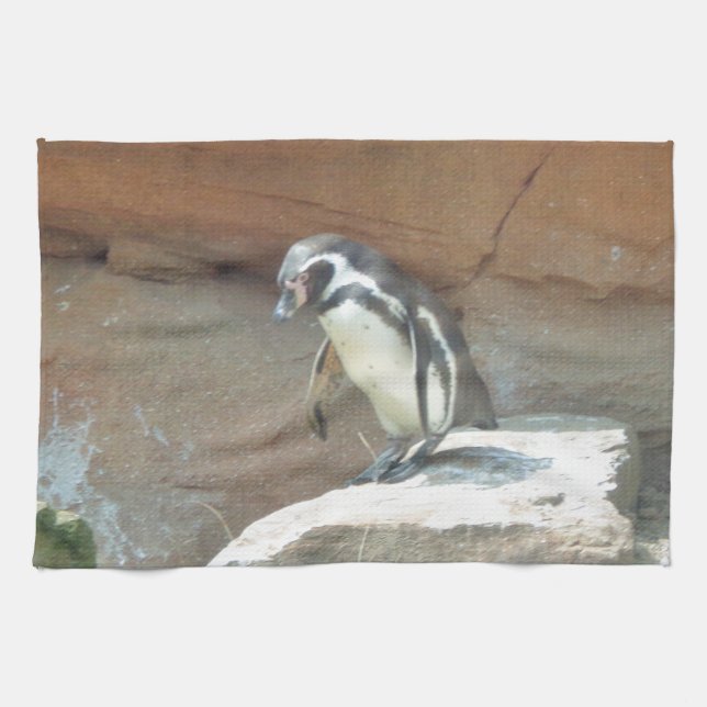 Penguin, Wildlife, Animal, Wild Bird, Zoo, Summer Tea Towel (Horizontal)