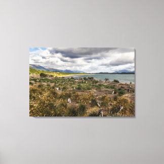 Penguinera Canvas Print