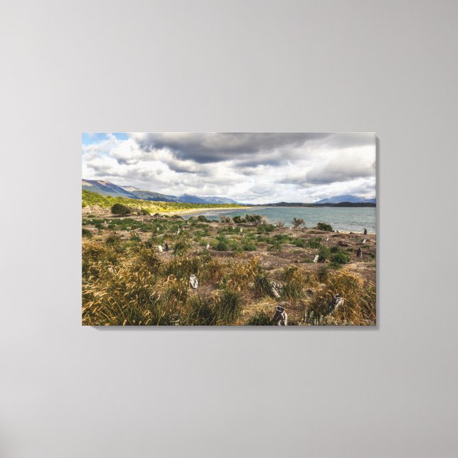 Penguinera Canvas Print (Front)