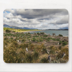 Penguinera Mouse Mat