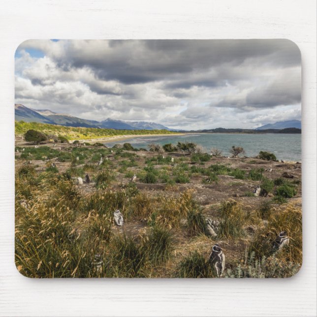 Penguinera Mouse Mat (Front)