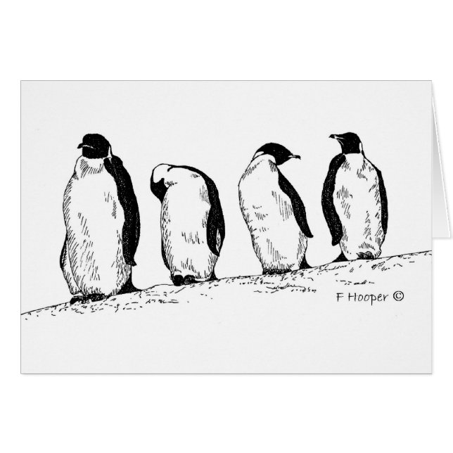 Penguins (Front Horizontal)