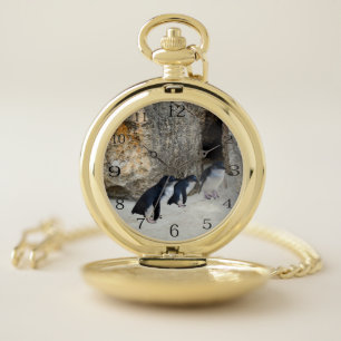 Penguins At Their Beach House,   Pocket Watch