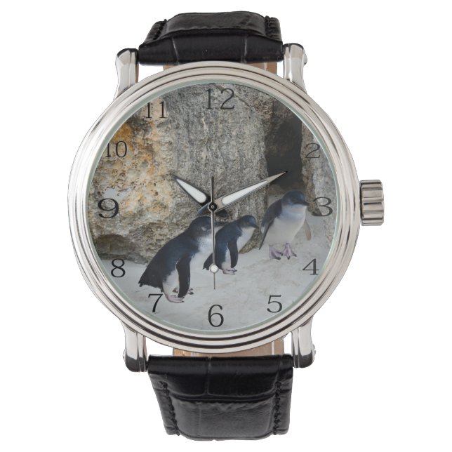 Penguins At Their Beach House,   Watch (Front)