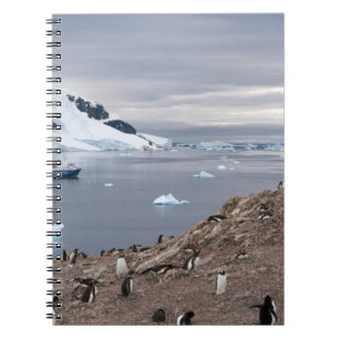 PENGUINS BESIDE SEA NOTEBOOK