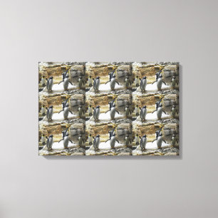 Penguins bird canvas print