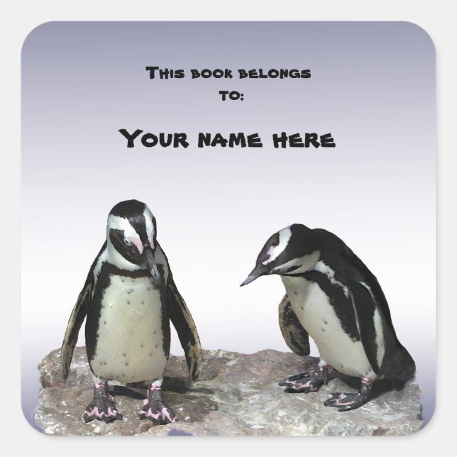 Penguins Bookplate Square Sticker (Front)