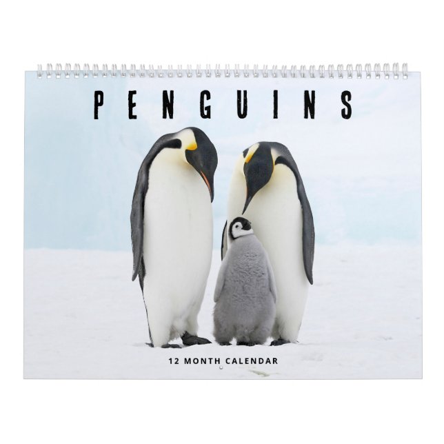 Penguins Calendar (Cover)
