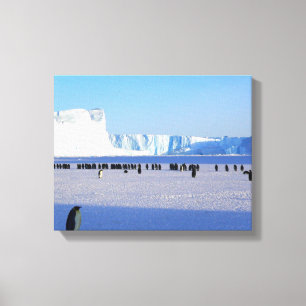 Penguins Canvas Print