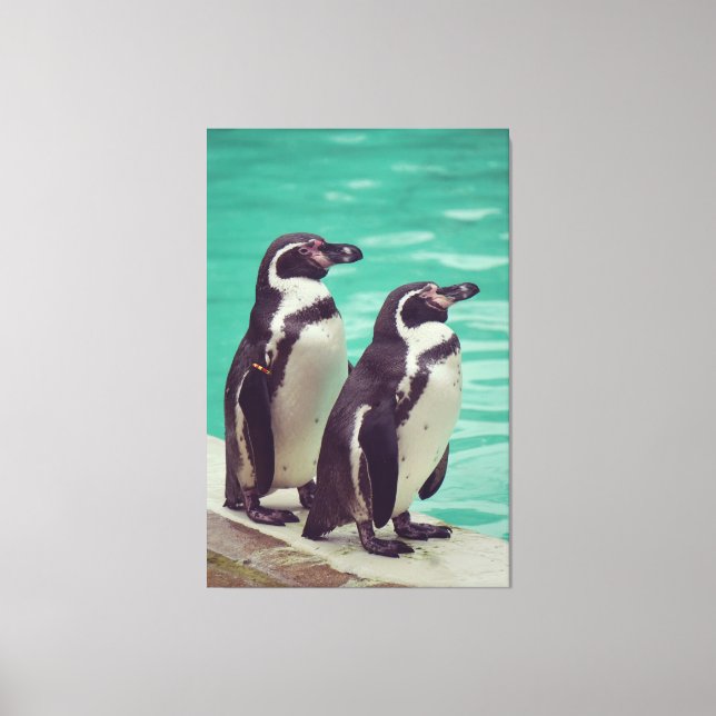 Penguins Canvas Print (Front)