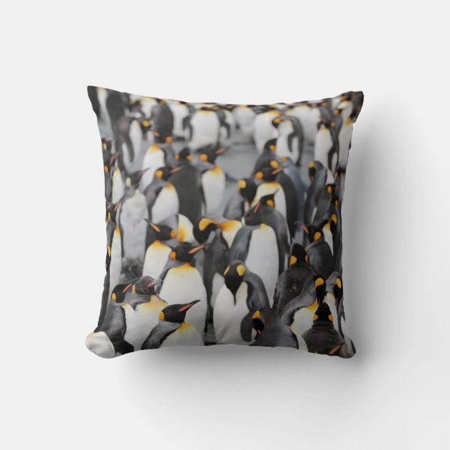 PENGUINS CUSHION (Front)