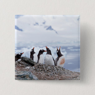 Penguins in Antarctica 15 Cm Square Badge