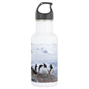 Penguins in Antarctica 532 Ml Water Bottle