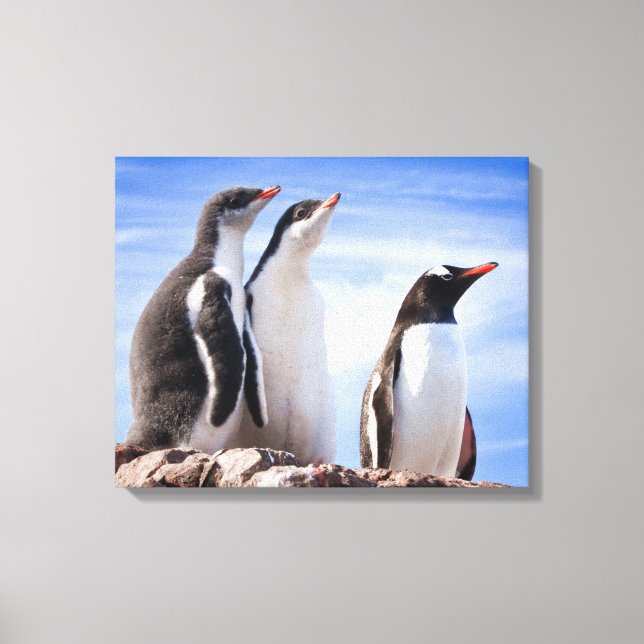 Penguins in Antarctica Canvas Print (Front)