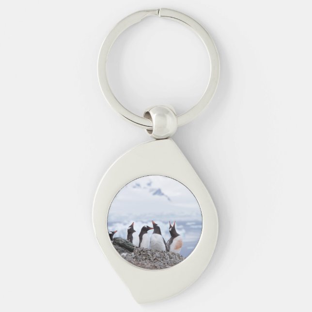 Penguins in Antarctica Key Ring (Front)