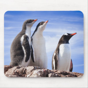 Penguins in Antarctica Mouse Mat