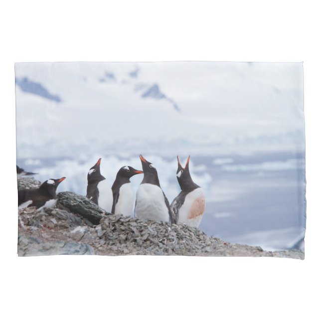 Penguins in Antarctica Pillowcase (Front)
