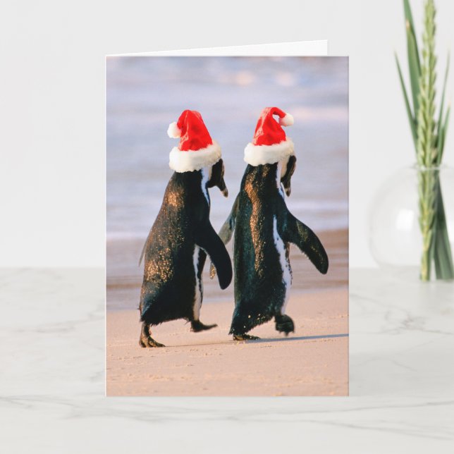 Penguins in Santa Hats on the Beach Holiday Card (Front)