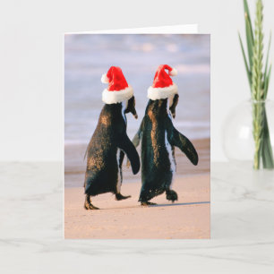 Penguins in Santa Hats on the Beach Holiday Card