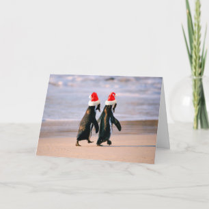 Penguins in Santa Hats on the Beach Holiday Card