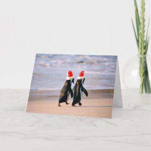 Penguins in Santa Hats on the Beach Holiday Card