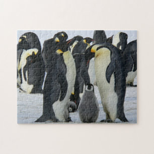 Penguins Jigsaw Puzzle