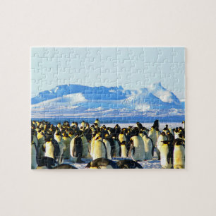 Penguins  jigsaw puzzle