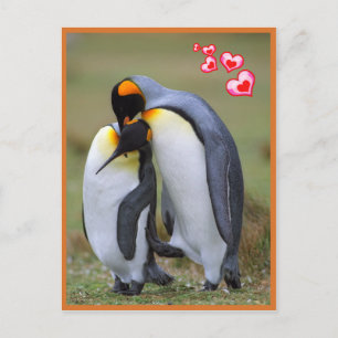 Penguins love postcard