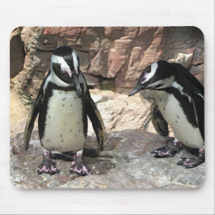 Penguins Mouse Mat