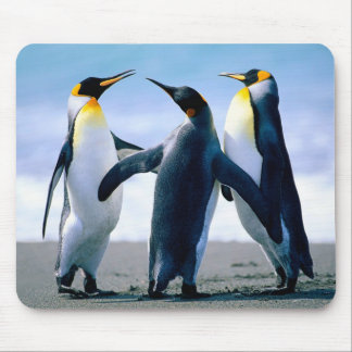 Penguins Mouse Mat