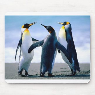 Penguins Mouse Mat