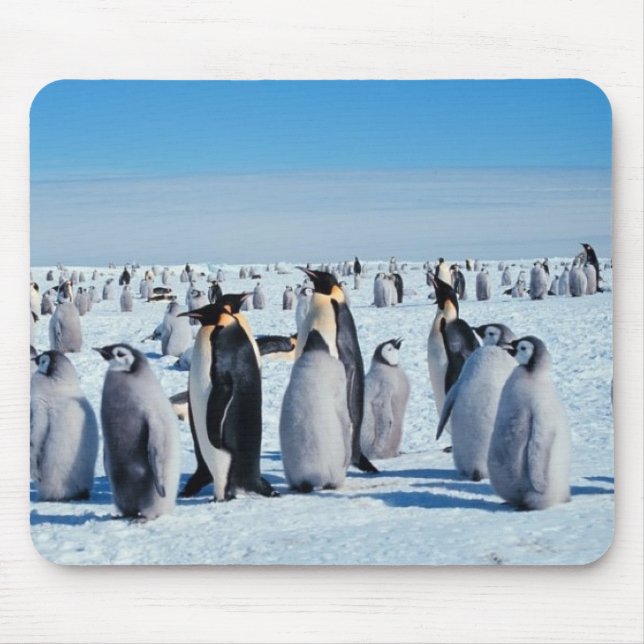 penguins mouse mat (Front)