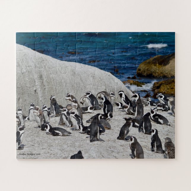 Penguins on Boulders Bay Jigsaw Puzzle (Horizontal)