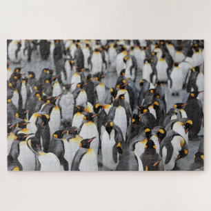 Penguins on Ice Jigsaw Puzzle