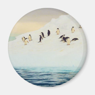 Penguins On Ice, round magnet