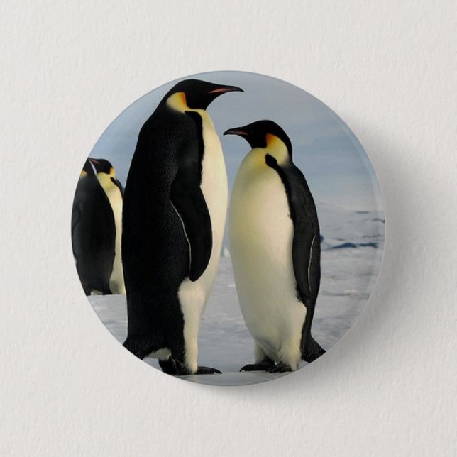 penguins-poop-from-outer-space 6 cm round badge (Front)
