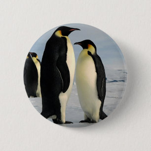 penguins-poop-from-outer-space 6 cm round badge