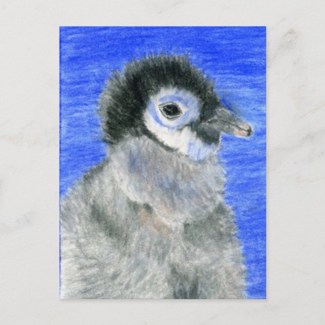 Penguins Postcard (Front)