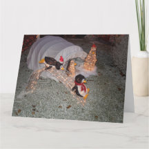 Sliding Down Cards Zazzle Uk