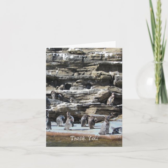 Penguins Thank You Card (Front)