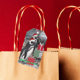 Penguins Wearing Red Santa Hats Holiday Gift Tags