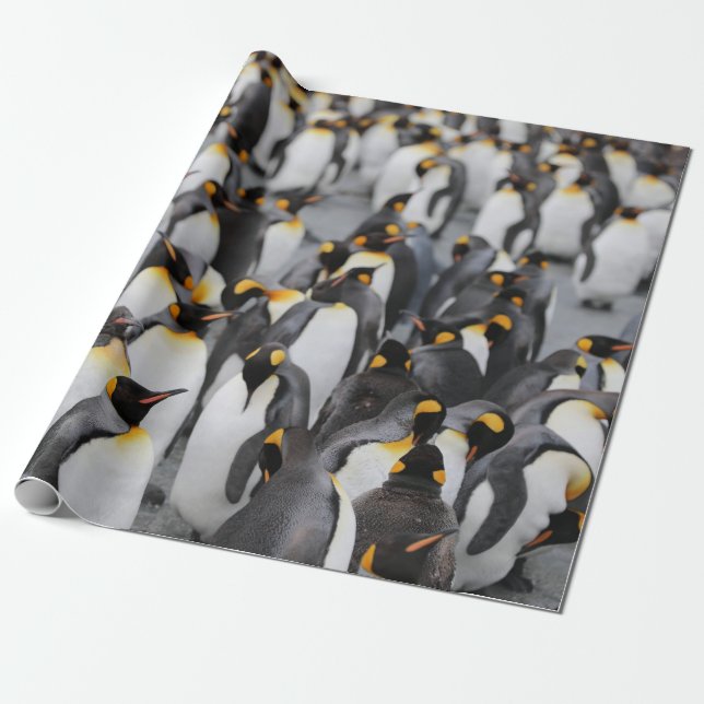 PENGUINS WRAPPING PAPER (Unrolled)