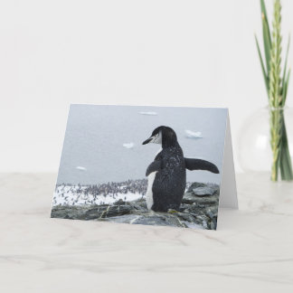 Penguinzilla Card