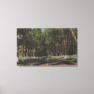 Peninsula Highway US 101 El Camino Real View Canvas Print