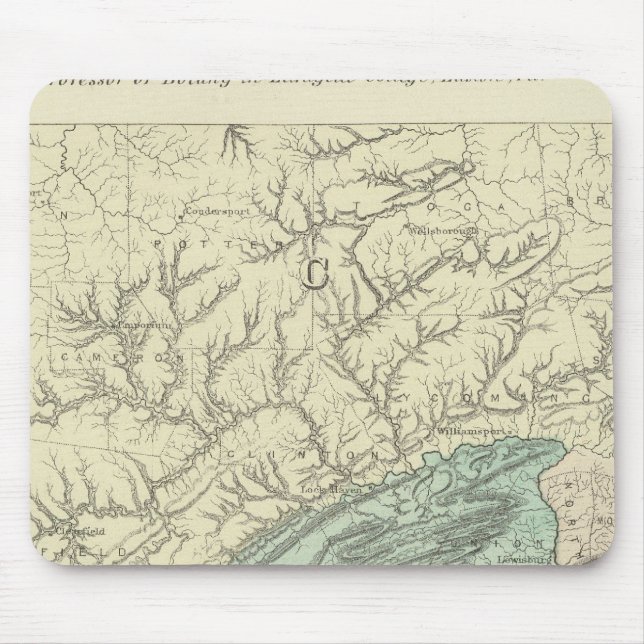 Penn flora mouse mat (Front)