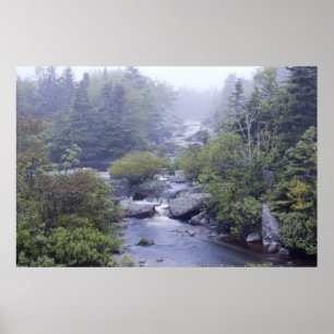 Pennant Brook In The Fog fine art print