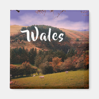 Pennant Valley Pasture in Wales Magnet