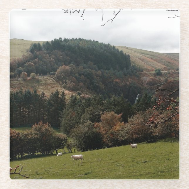 Pennant Valley Wales Glass Coaster (Front)